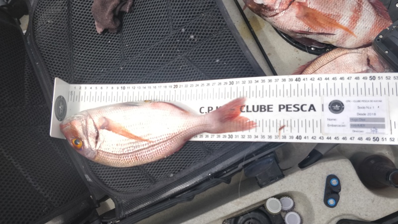 Fish Measure Picture