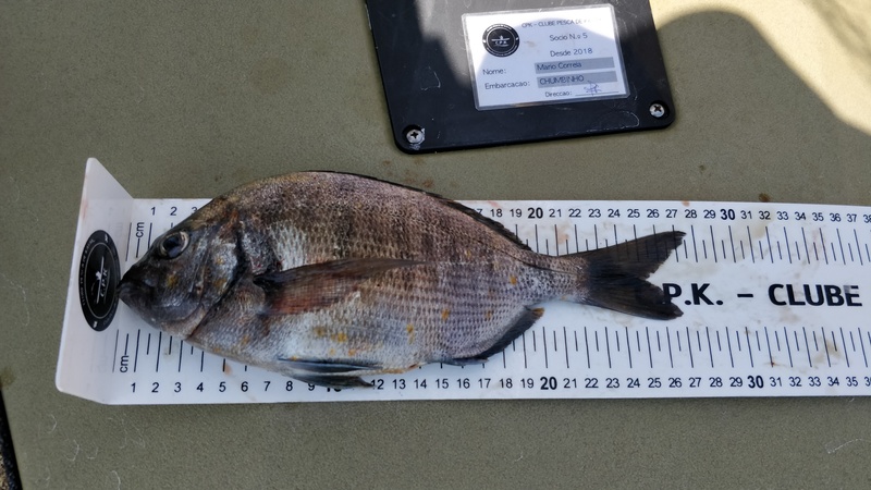 Fish Measure Picture