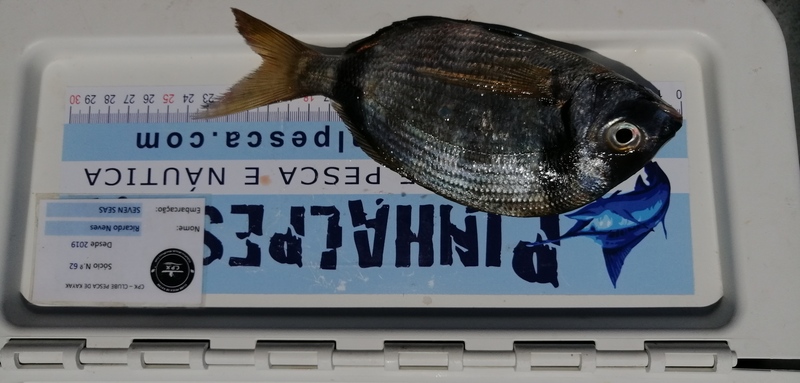 Fish Measure Picture