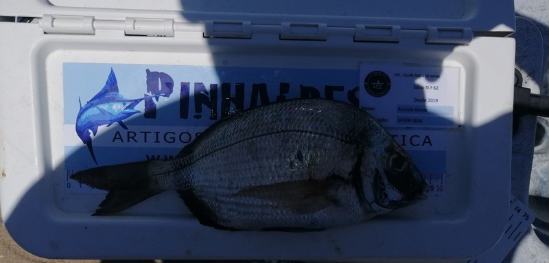 Fish Measure Picture