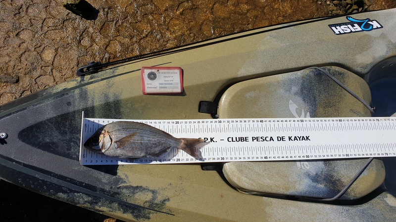 Fish Measure Picture