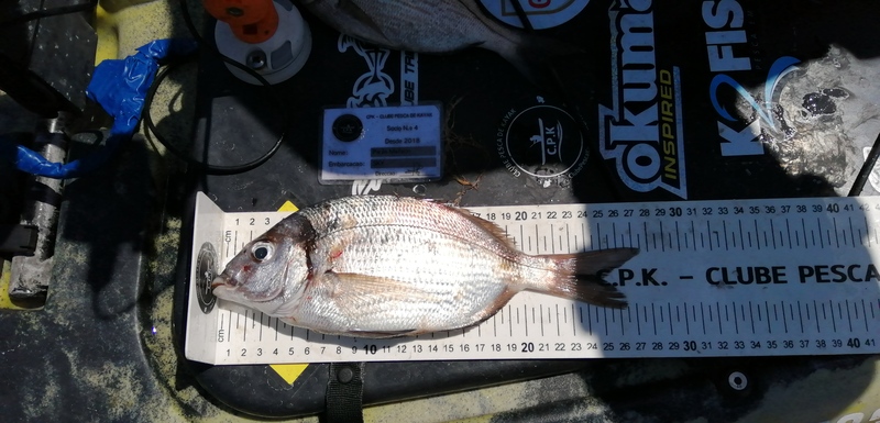 Fish Measure Picture