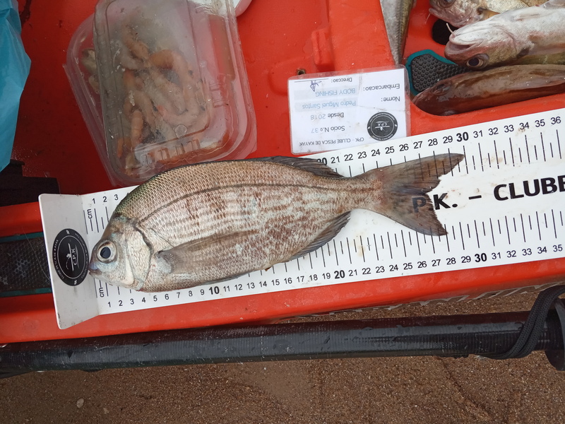 Fish Measure Picture