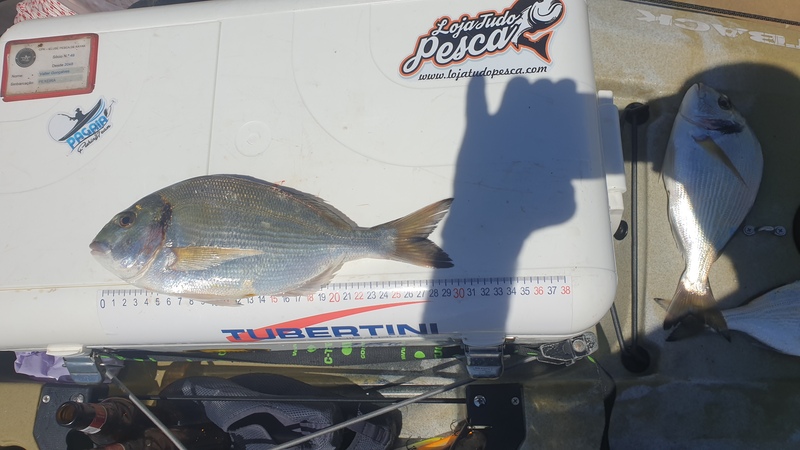 Fish Measure Picture