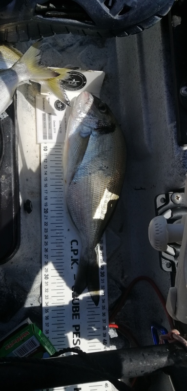 Fish Measure Picture
