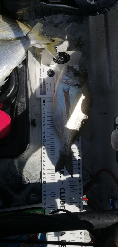 Fish Measure Picture