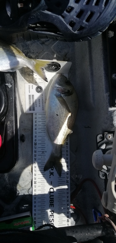 Fish Measure Picture