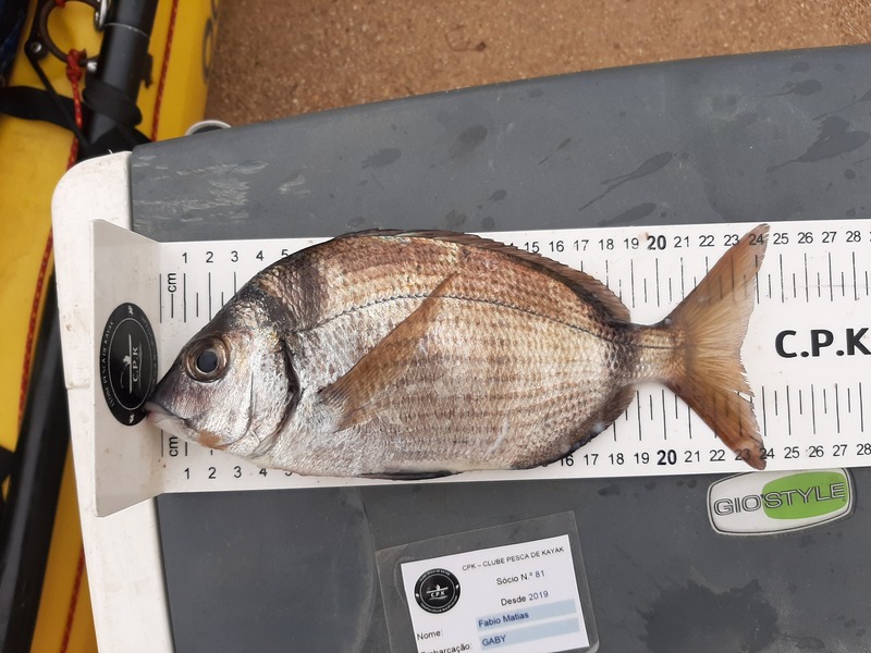 Fish Measure Picture