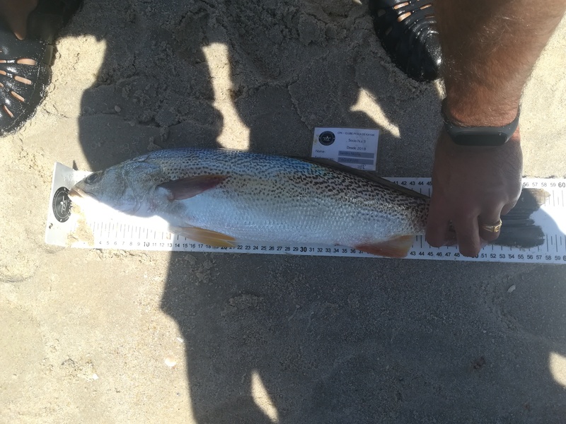 Fish Measure Picture