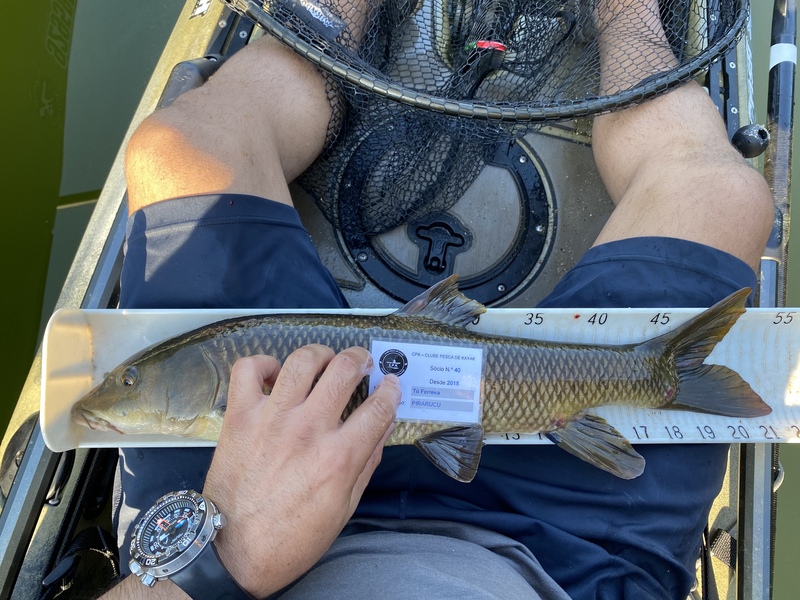Fish Measure Picture