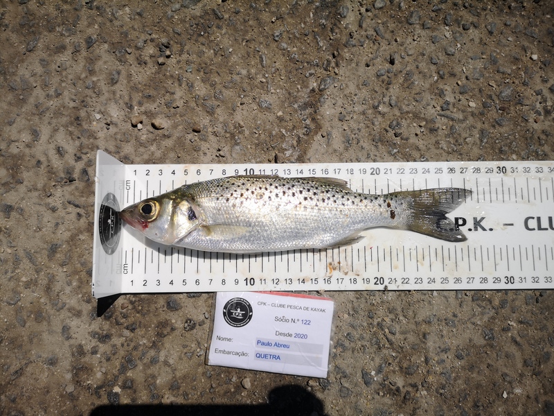 Fish Measure Picture