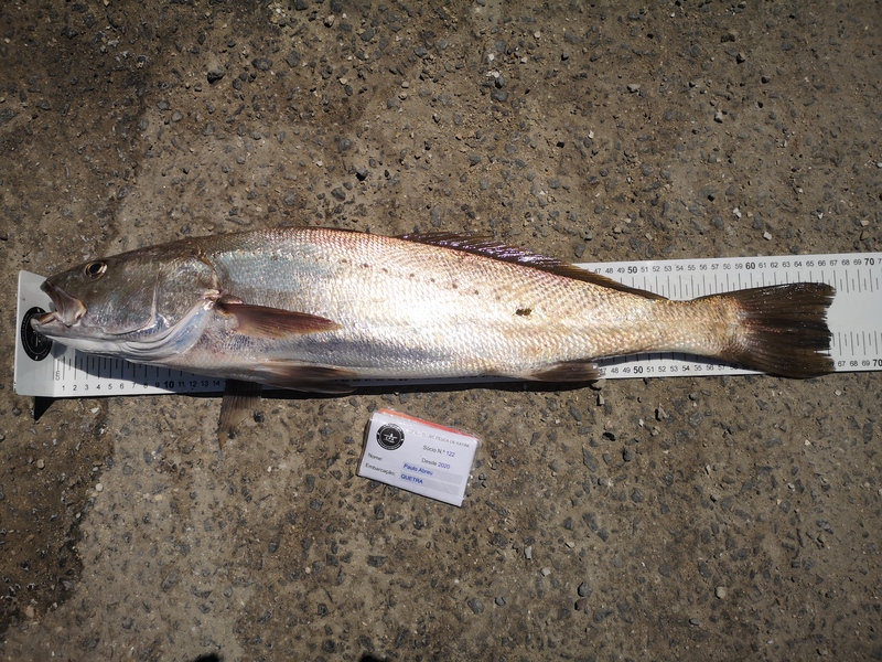 Fish Measure Picture