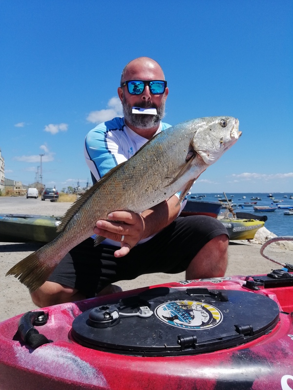 Fish Profile Picture