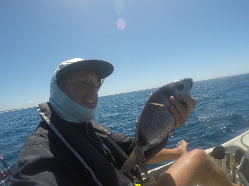 Fish Profile Picture