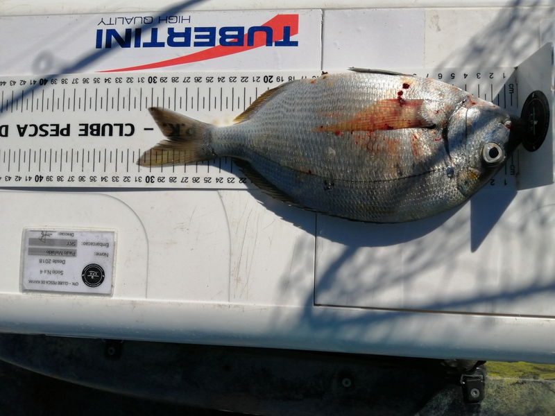 Fish Measure Picture