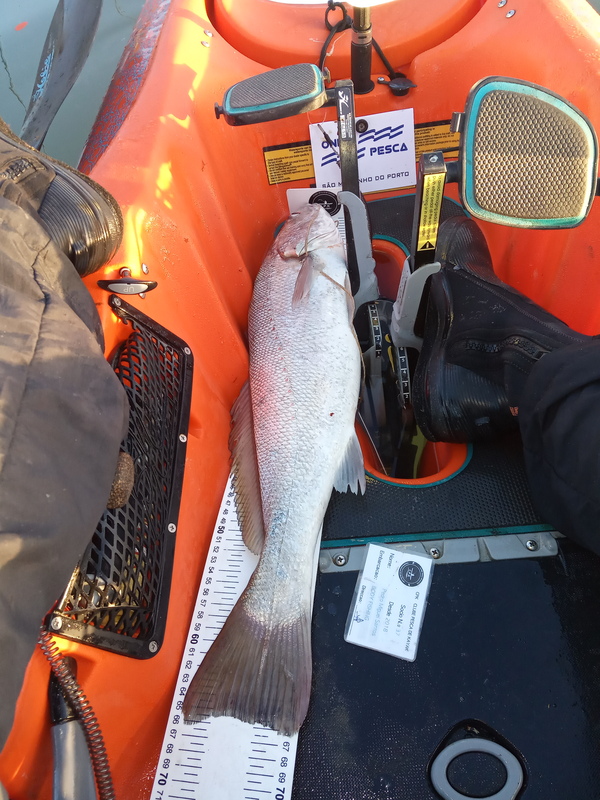 Fish Measure Picture