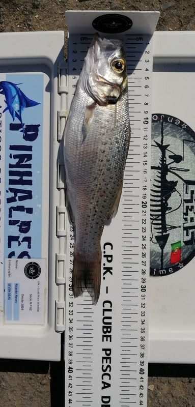 Fish Measure Picture