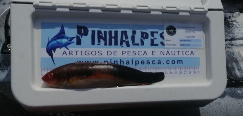 Fish Measure Picture