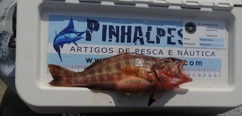 Fish Measure Picture