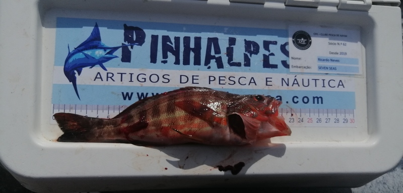 Fish Measure Picture