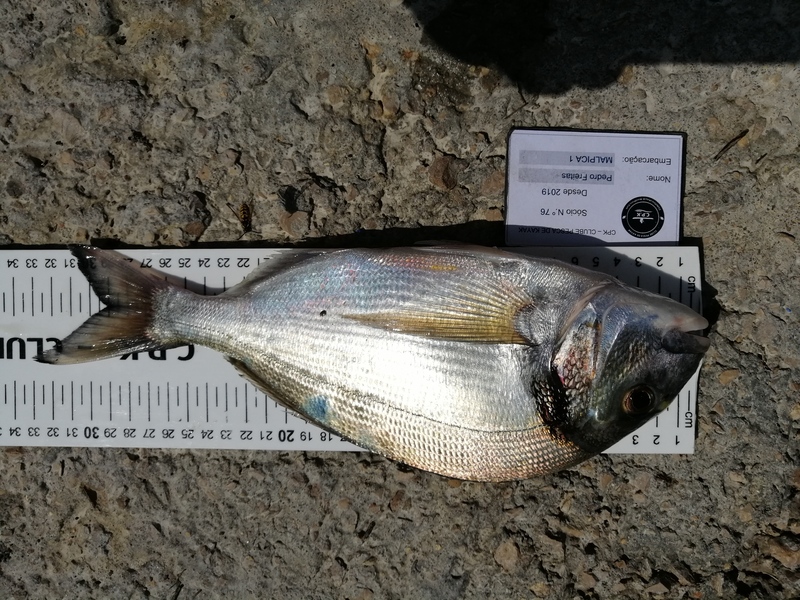 Fish Measure Picture