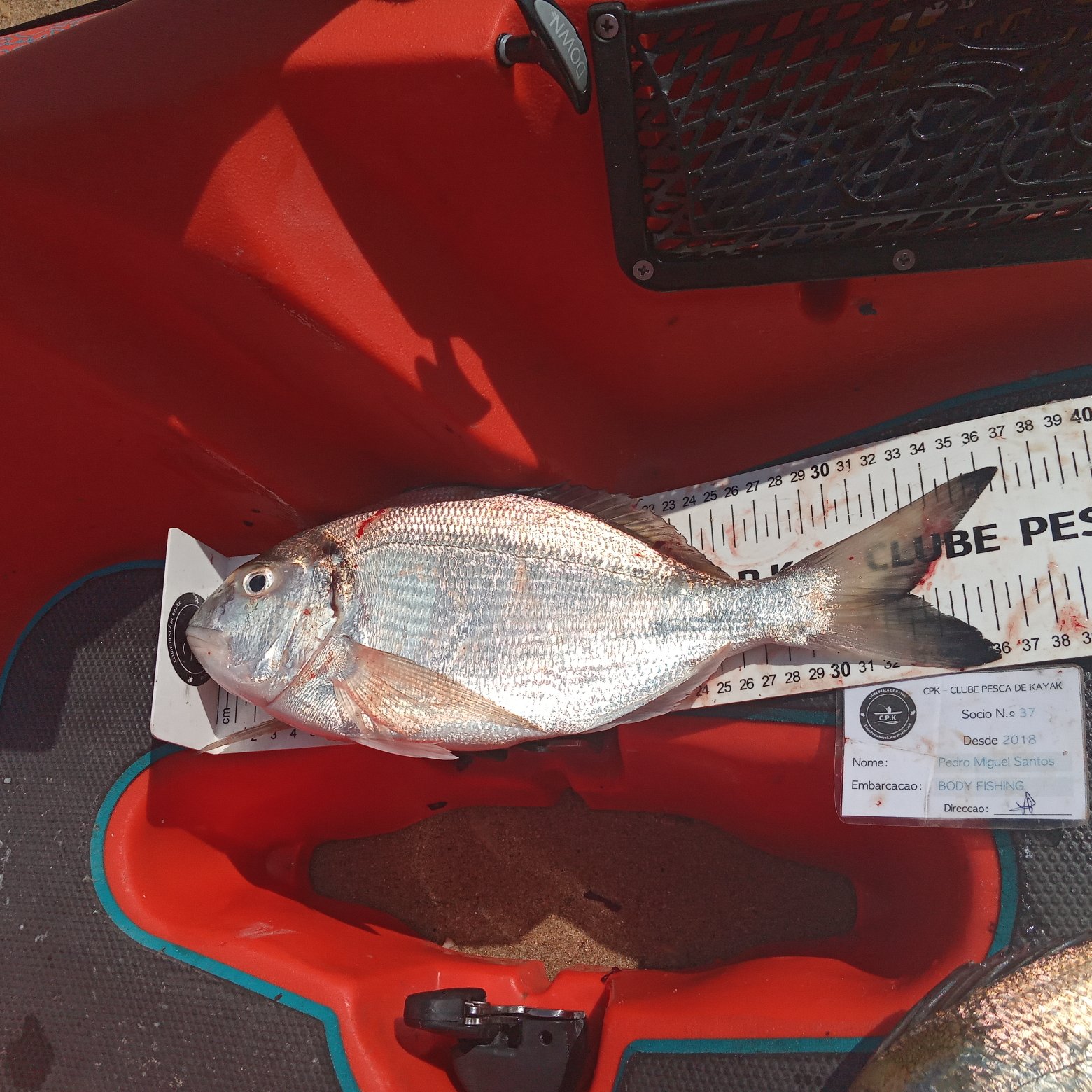 Fish Measure Picture