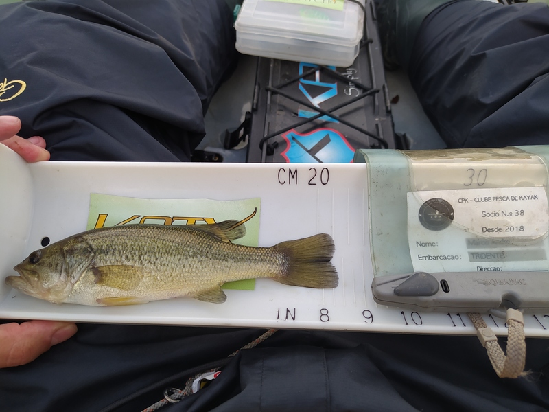 Fish Measure Picture