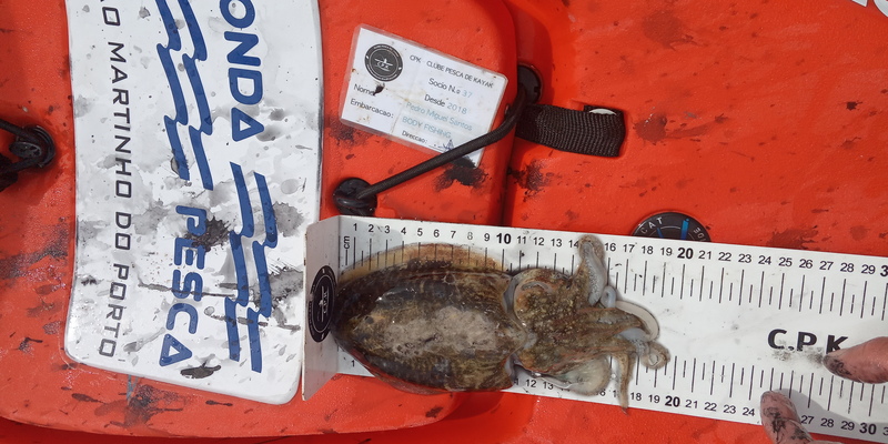 Fish Measure Picture