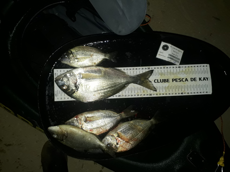 Fish Measure Picture