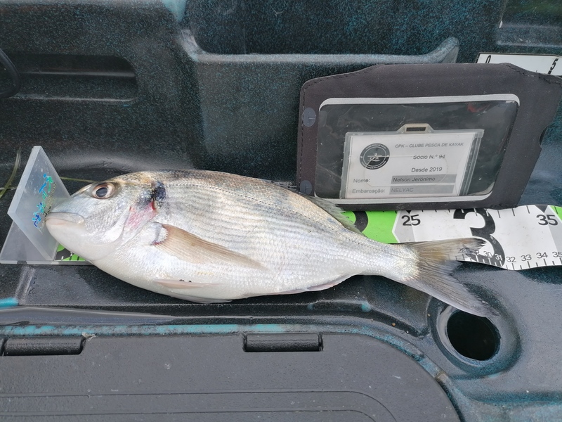 Fish Measure Picture