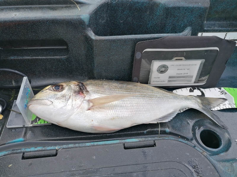 Fish Measure Picture