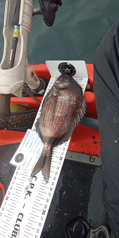 Fish Measure Picture