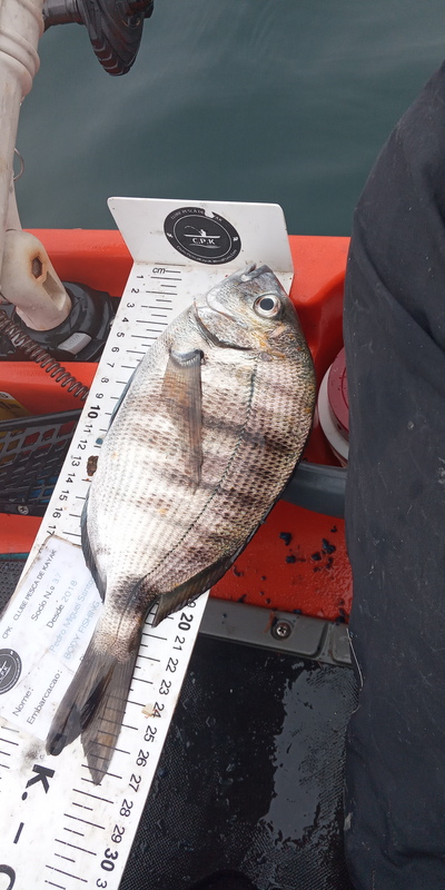 Fish Measure Picture