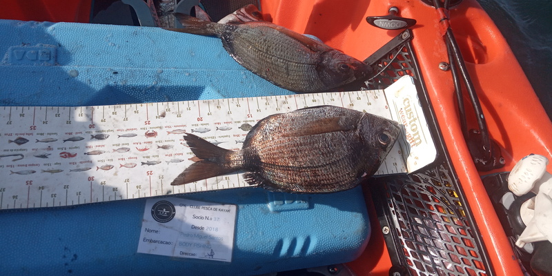 Fish Measure Picture