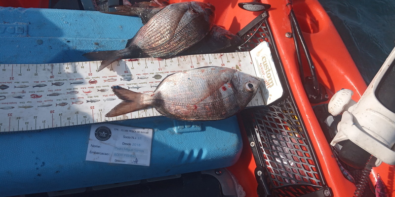 Fish Measure Picture
