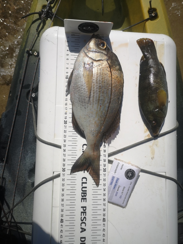 Fish Measure Picture