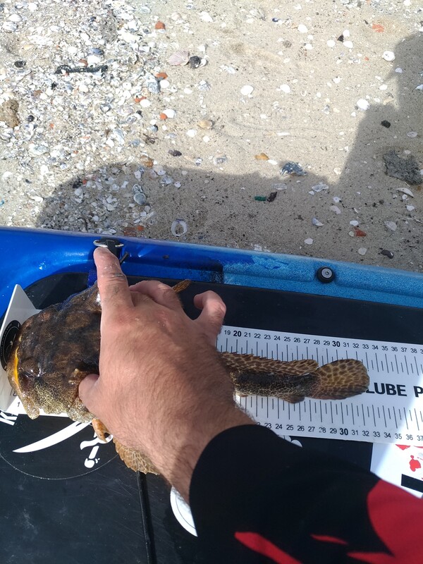 Fish Measure Picture