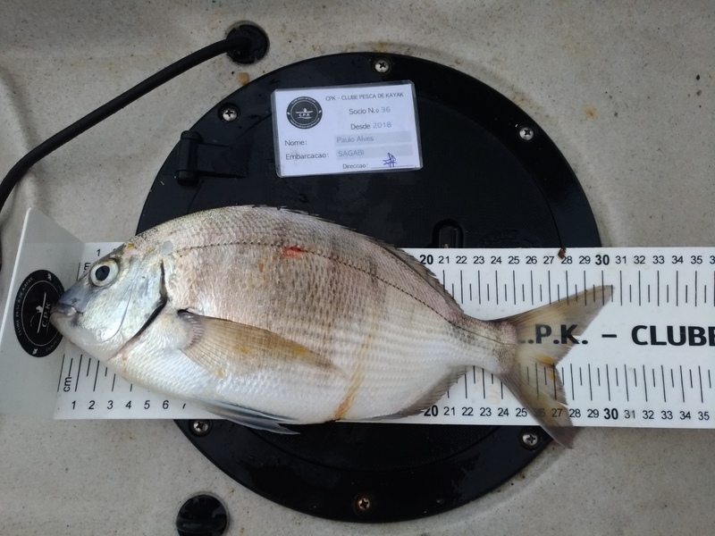 Fish Measure Picture