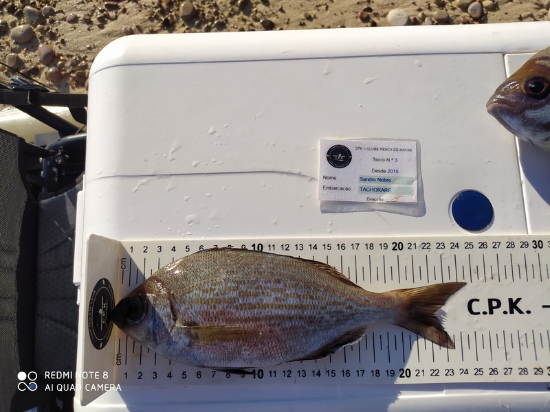 Fish Measure Picture