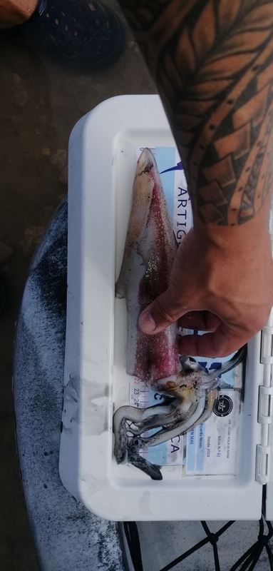 Fish Measure Picture