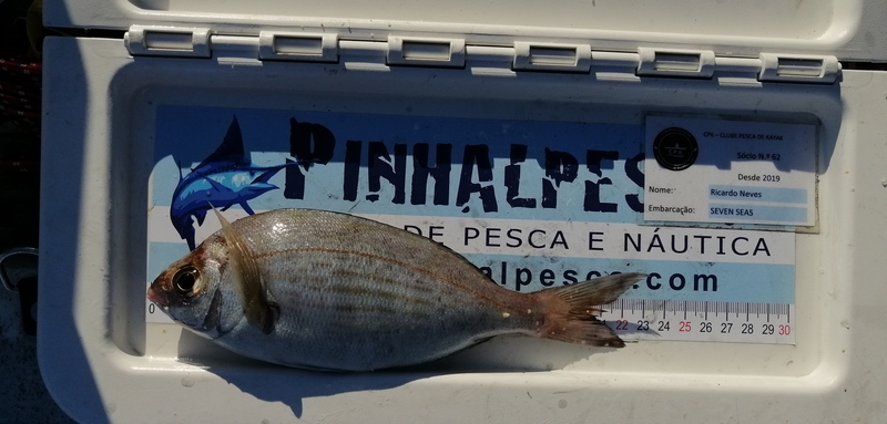 Fish Measure Picture