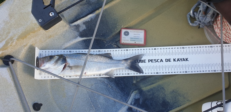 Fish Measure Picture
