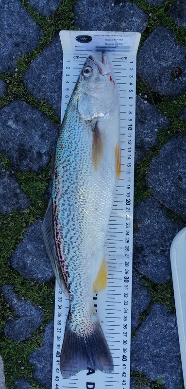 Fish Measure Picture
