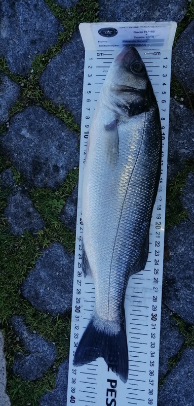 Fish Measure Picture