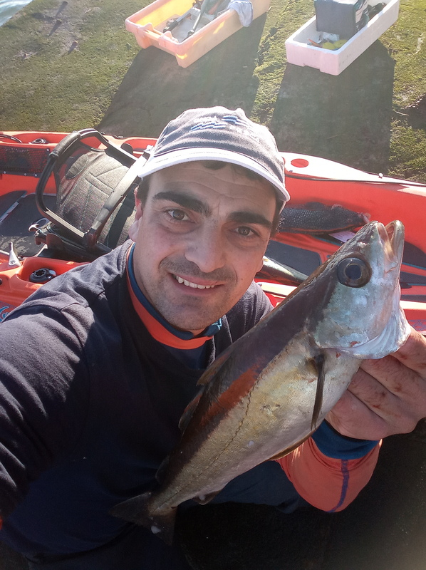 Fish Profile Picture