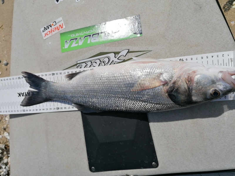 Fish Measure Picture