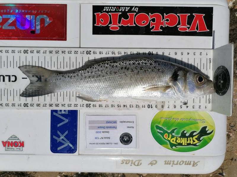 Fish Measure Picture