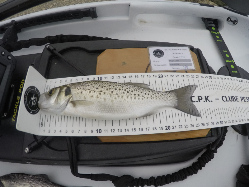 Fish Measure Picture