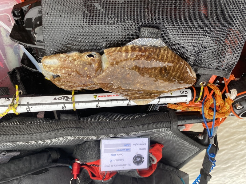 Fish Measure Picture