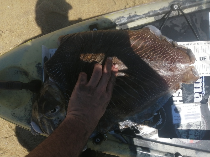 Fish Measure Picture
